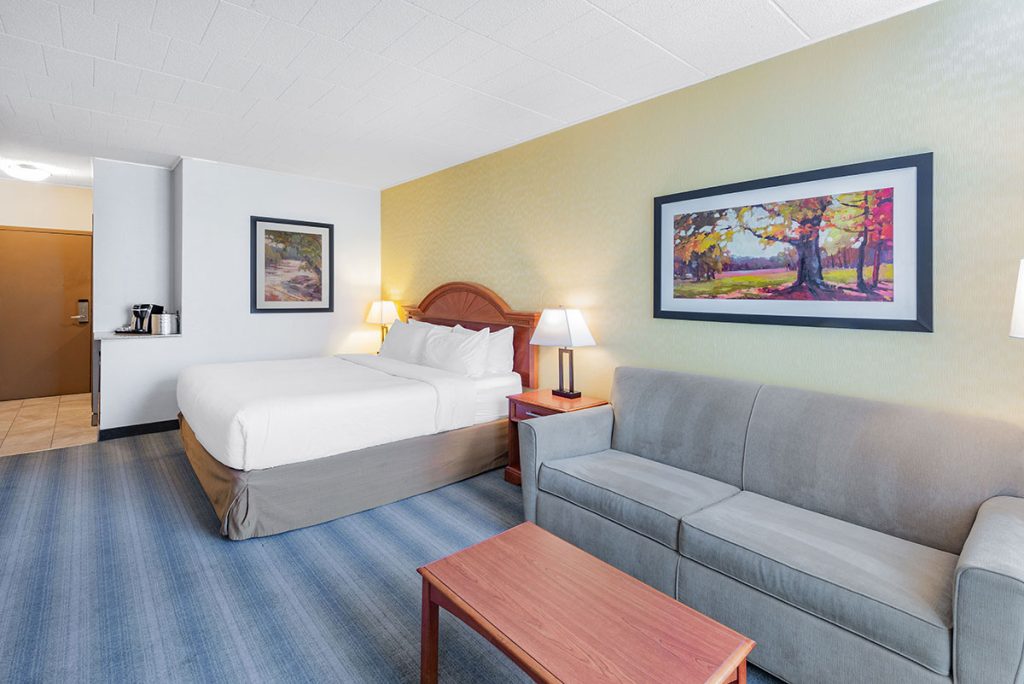 Comfortable King room at Wyndham Garden York, PA featuring a plush bed, cozy seating area, and modern amenities.